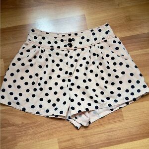 Black Polka Dot Women's Shorts
